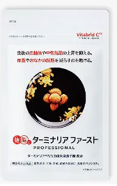 ターミナリアファースト